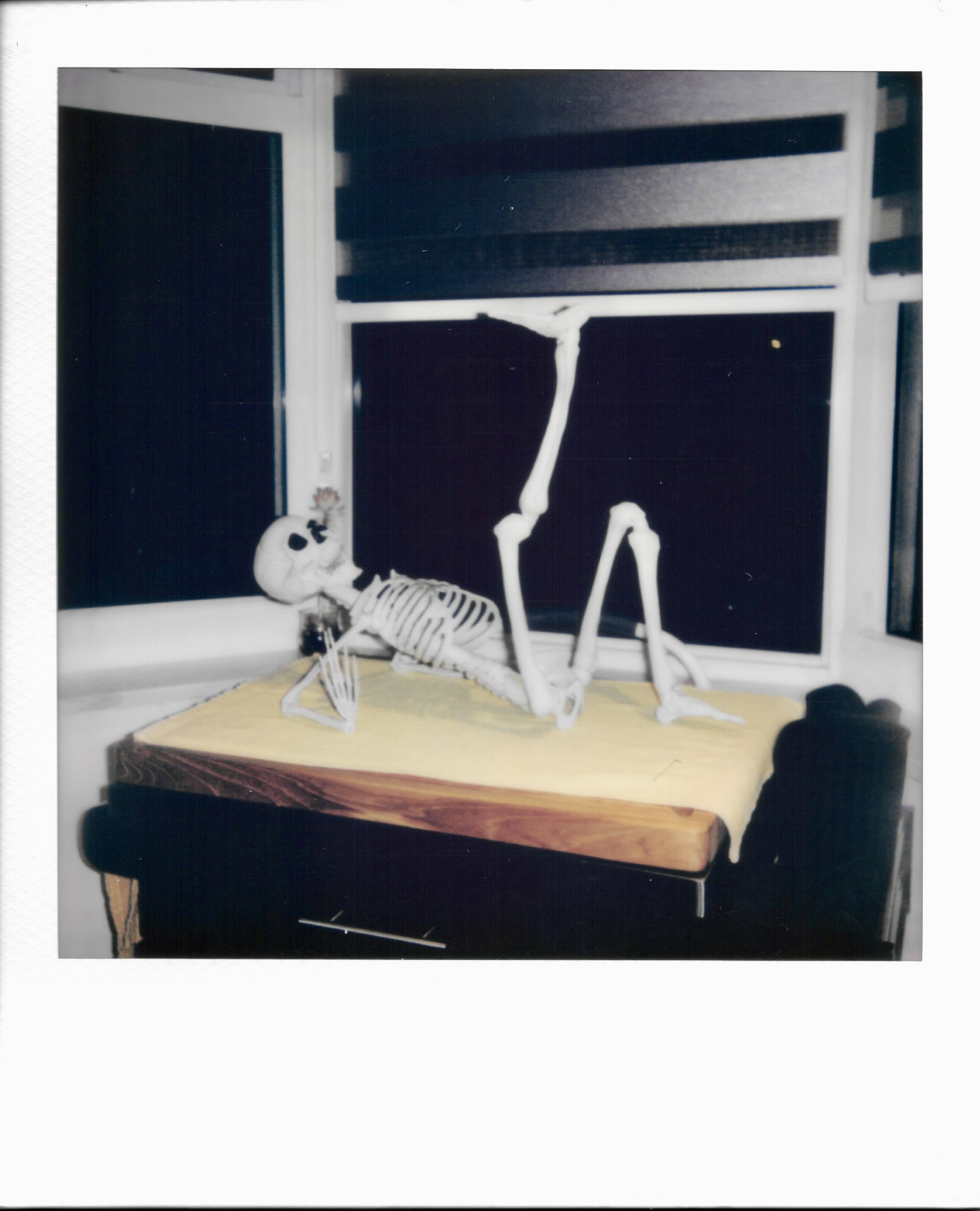 skeleton lying on cutting board